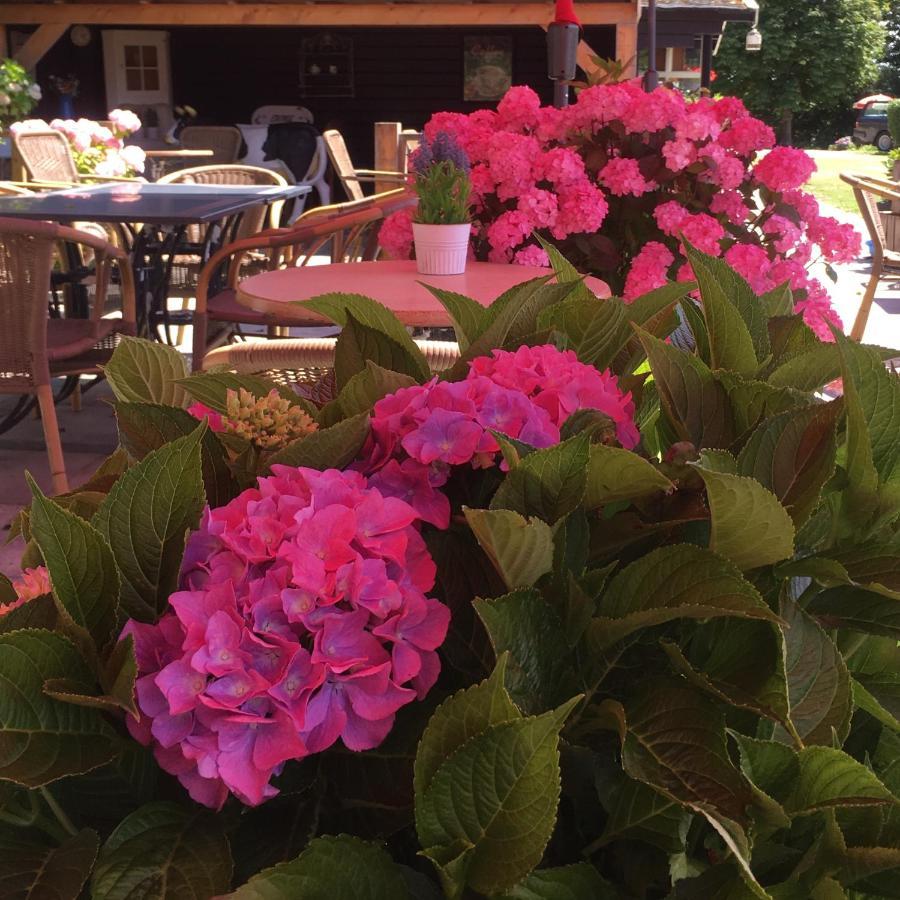 Boerderijcamping Plantlust Veere Extérieur photo